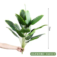 18 головных банановых листьев