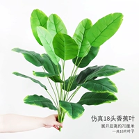 18 головных банановых листьев