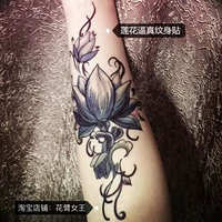 Лотосная лоза 2