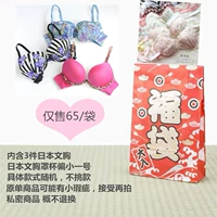 Bra Blessing Bag Chứa ba mảnh rương giấy Nhật Bản, đồ lót nữ, không có sự lựa chọn, kiểu màu, tóc ngẫu nhiên - Now Bras bra tập cao cấp