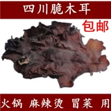 БЕСПЛАТНАЯ ДОСТАВКА Sichuan Big Fungus гриб белый задний черный гриб хрустящий Earzoic Hot Pot Spicy Hot Hot Hot Hot Hot Hot Hot Hot Hot Hot Hot Hot Hot Hot Hot Hot Hot Hotpot 500G