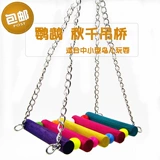 Небольшой попугайной поставки укушенные игрушечные подвески