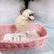 Маленький белый ягненка (высота около 11 см)