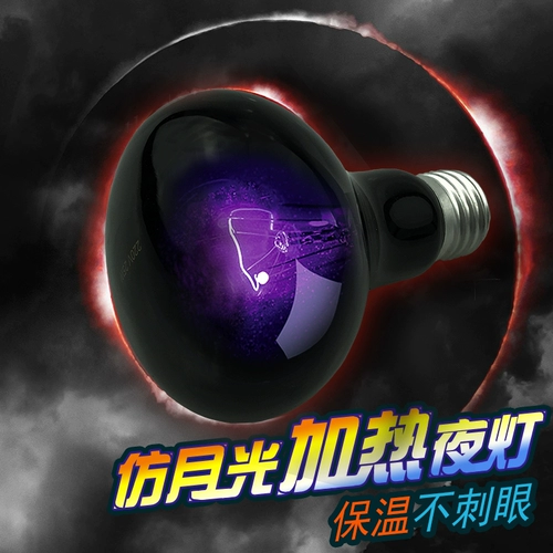 Бесплатная доставка замок скалолазам питомца Uva Ночная лампа Цветовая трансформатор ящерица ящерицы