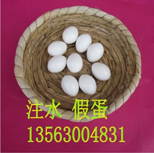 Поддельные яйцо -инъекция фальшиво -голубь голубей голубей Голубите