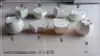 Товары от xlfsbnn81