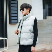 Áo vest nam cotton mùa thu đông dày đôi thanh niên hoang dã xuống áo vest nam và nữ bánh mỳ áo khoác phiên bản Hàn Quốc của thủy triều