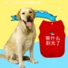 Товары от zhangzichongfell
