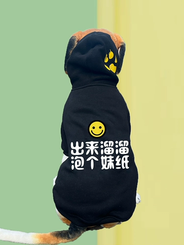 Большая собака Золотая накачанная хриплая средняя средняя крупная одежда для собак и бархат осенью и зимой