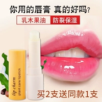 Đặc biệt hàng ngày Haisu Shea Butter Không màu Lip Balm Dưỡng ẩm Lip Care Lip Balm Môi Nam ủ môi vaseline