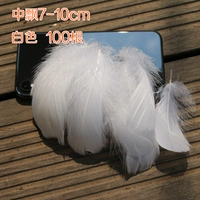 100 корней в белом