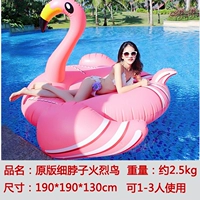 Прекрасные птицы