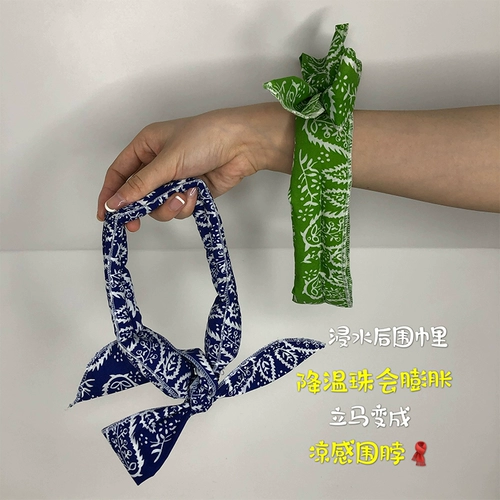 Кошка, собачья собачья шарф собаки кошки в летнем прозрачном кулерке с большим и средним для собачьей анти -лето