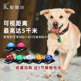 Kirsing Kostein Dog Walking Dog Lights Pets Anti -Slight Light Led Flash Lights Lighting Penden