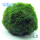 Зеленые водоросли для мяча для мяча (около 3 см)