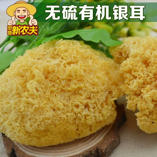 Фермерский дом Getta Natural Golden Tremella 250 г белых лесов Дикий снежный снежный ухо Уродные уши мягкие уши мягкие элипот