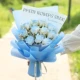 11 плотных западных корней Сломан Ice Blue Sky Blue +Window Sidbag Lantern