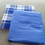Ký túc xá sinh viên Kẻ sọc giường đơn giản màu xanh Quilt Đặt Ba mảnh màu xanh Sheets Độc ký túc xá tấm màu xanh ra trải giường