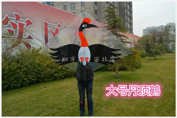 Пластиковый воздушный змей Real Breeze, эксклюзивный агент Taobao, герой ветра