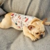 Little Tail Pet Quần áo Net Quần áo đỏ Pháp Bò Quần áo Pet Corgi Pug Dog Vest Ying Dou - Quần áo & phụ kiện thú cưng Quần áo & phụ kiện thú cưng