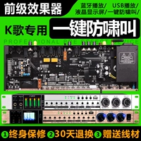 Effect KTV Front -class Karaoke Digital Hybrid Professional Microphone K Song Spend Suppressor Anti -Scream