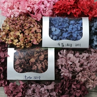 В ожидании, когда домашние производители Hualai продают прямую большую полную полную коробку -качественное качество консервации цветочный пакет сырья Diy Eternal Flower Hydrangea
