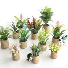 bjd场景道具娃屋 六分blythe植物盆栽ob11娃屋迷你微缩仿真绿植摆件绿植12分8分