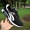 Giày thể thao nam mùa thu giày vải thông thường đế dày chống trượt giày thoải mái khử mùi giày thoáng khí Phiên bản Hàn Quốc của giày thủy triều