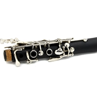 Xinbao clarinet clarinet người mới bắt đầu nghiệp dư mạ niken nút clarinet tây treble cụ guitarbadon