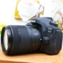 [Tình yêu nhiếp ảnh] Canon Canon 80D 18-135 kit cao cấp chuyên nghiệp HD SLR kỹ thuật số máy ảnh máy ảnh leica