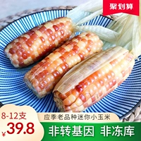 Yunnan Xishuang версия Na Siang Nuo Xiaoya версия Na Sweet и Gleachy Criting Basel