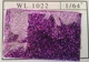 1022 фиолетовый (1 котти)