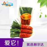 Сухой Тимори Травяная кукурузная морковь в форме шлифовальных игрушек, кроликов, голландская свиная игрушка 3/сумка