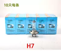 Foshan Zhao Bubble H7 12V 55W 10