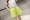 Chất béo MM siêu lớn kích thước bông và vải lanh quần short nữ lỏng thường đàn hồi eo linen quần nóng là mỏng quần chân rộng váy mùa hè thoi trang cong so