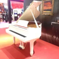 Đại dương cầm giá đàn piano