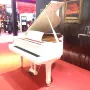 Đại dương cầm giá đàn piano