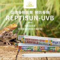 American Dogo Reptile UVB кальциевая лампа труба сочные ящерицы поднимают ящерицу 10.0 5,0 Ультрафиолетовые лучи