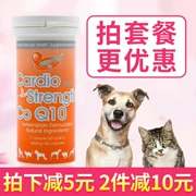 Angel Enzyme Q10 Pet Chăm Sóc Tim Đại Lý Chó, chó, chó, chức năng tim mạch, sản phẩm sức khỏe tim mạch