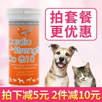 Angel Enzyme Q10 Pet Chăm Sóc Tim Đại Lý Chó, chó, chó, chức năng tim mạch, sản phẩm sức khỏe tim mạch Mua sữa cho mèo con ở đầu
