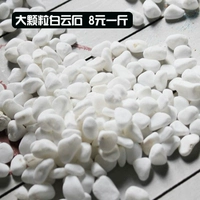 Большие гранулы (8 Юань/Джин)