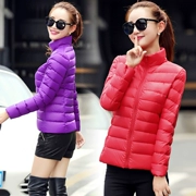Mùa đông phiên bản nhỏ mới của áo khoác không mũ nữ phần ngắn thời trang Hàn Quốc khí chất rắn màu siêu mỏng lông r quần áo eo cao