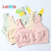 Kích thước lớn C cup áo ngực kiểu cotton cotton sinh viên béo cô gái MM ngực lớn phần mỏng áo ngực thời kỳ phát triển áo ngực cho bé bú