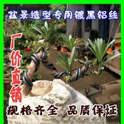 Đen dây nhôm DIY Zhasi flower bracket 500 gam vận chuyển nguồn cung cấp vườn bonsai mô hình đặc biệt dây nhôm
