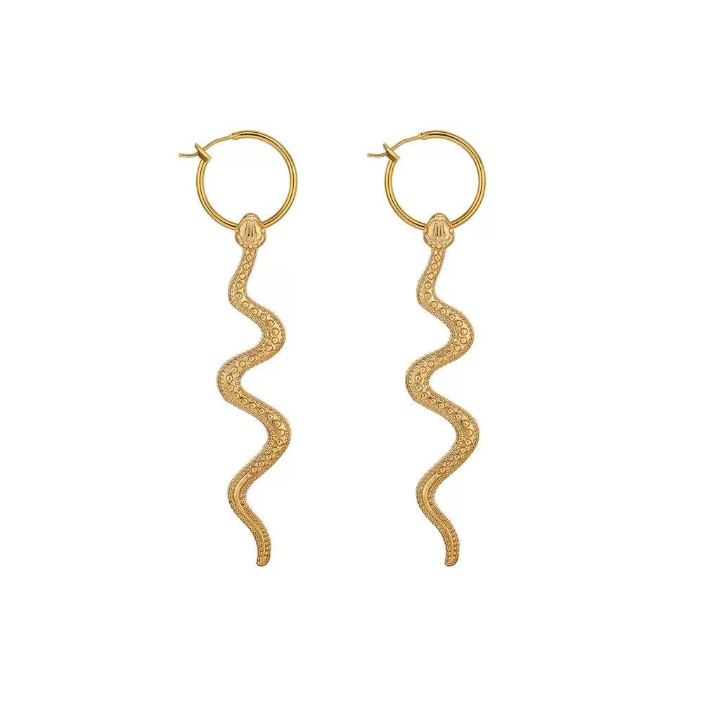 Snake Earring ladies个性夸张长版蛇纹蛇耳针耳环饰серьги