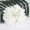 Hoa hồng tú cầu hoa trang trí đám cưới hoa nhân tạo hoa đơn tường hoa giả 绢 hoa hồng tường trang trí tường - Hoa nhân tạo / Cây / Trái cây cây hoa mai giả