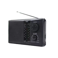 Wanzquan Black Pointer Radio [совершенно новый]