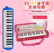 Trình diễn cơ quan giai điệu bột 囗 instrument nhạc cụ đặc biệt cô gái biểu diễn đặc biệt công chúa sinh viên 37 phím 32 phím - Nhạc cụ phương Tây