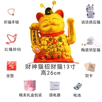 13 дюймов, 26см