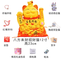 12 -инд восемь клыка Cai Cai [высота